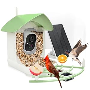 Bird Feeder with Camera, Smart AI Bird Breed Recognition, Birds Motion Detection with Real-Time Notice, Auto Capture Bird Watching WiFi Camera, Solar-Powered Outdoor Charging Bird House,Green