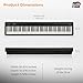 Roland FP-10 Digital Piano - Black Bundle with KSC-FP10 Stand, Bench, Sustain Pedal, Instructional Book, Online Lessons, Instructional DVD, and Austin Bazaar Polishing Cloth