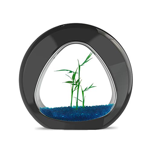 allpondsolutions - Acuario pequeño Nano Curvo de 6 litros, Color Negro, para Acuario, Acuario, Acuario, Acuario, Agua fría, iluminación LED Tropical