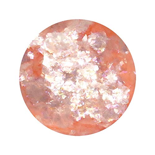 lC zO ؂ I[ t[N pE_[ P[X (CgsNn OB05)