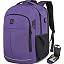 17.3 Inch-purple