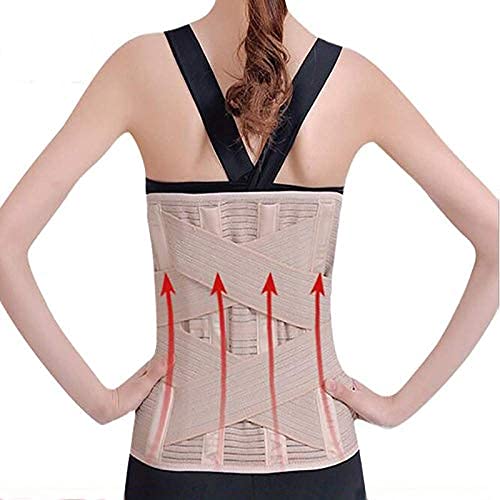 p `Oȗpp u[X Lk̂钲߉\ȍT|[g EGXgg}[xg o[T|[gxg T|[gu[X (F : J[L, TCY : XX-Large) (J[L XX) charitable