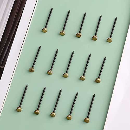 Image of 50 Pieces Picture Frame Nails Picture Hanging Nails Picture Frame Hangers Nails Black Steel Nails and Brass Head Picture Frame Hangers Nails(Small)