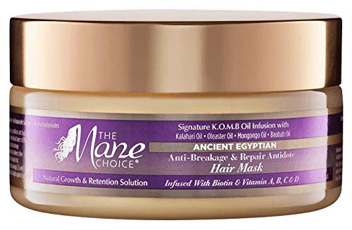 The Mane Choice Ancient Egyptian Anti-Breakage & Repair Antidote Hair Mask, 8 Ounce #TOP14