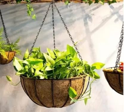 MUDDSTYLES Coco Coir 8 Inches Plant Container Wall Hanging Basket With Chain And Hook Indoor Outdoor Wall Hanging Gardning Planter Set (Pack Of 6),Black 4