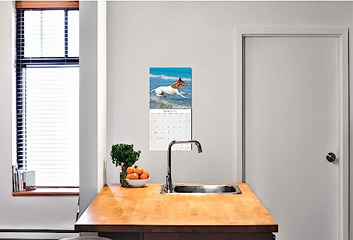 2023 2024 Jack Russell Calendar - Dog Breed Monthly Wall Calendar - 12 X 24 Open - Thick No-Bleed Paper - Giftable - Academic Teacher's Planner Calendar Organizing & Planning - Made In Usa #TOP5