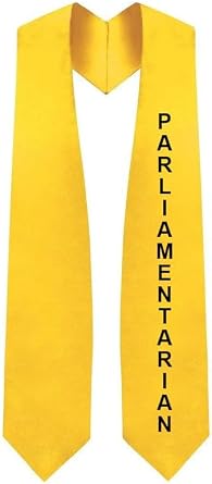 CLERKMANS Unisex Class Officer Graduation Stoles, Pointed Class Leadership Stoles President, VP, Secretary & Treasurer