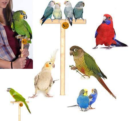 Sage Square Hand Held Tame Stand for Handling Birds and Trainning, Natural Wood and Safe for Birds Like Cockatiel, Parrot, Sun Conure, Macaw, African Grey, Cockatoo (B087CR21T1) Amazon Price History, Amazon Price Tracker