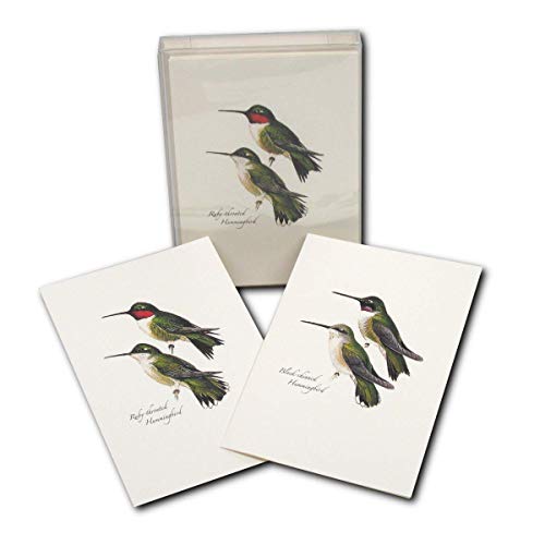 Image of Earth Sky + Water - Peterson's Hummingbird Notecard Set - 8 Blank Cards with Envelopes (4 each of 2 styles)