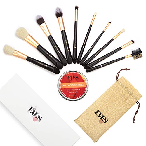 Professional Synthetic 10pc Makeup Brush Set/Kit with Cosmetic Brush cleaner/color remover with case/bag-Incl. Foundation, blush,eyeshadow,contour,blender brushes & more