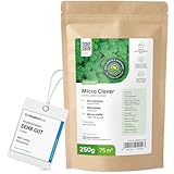Micro-trèfle - 250 g pour 75 m² - Résistant à la sécheresse - Pelouse extra dense et ...