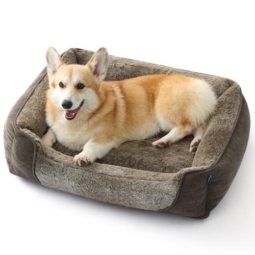BEDSURE Hundebett mittelgroße Hunde – 76x61x15cm Hundesofa für mittlere Hunde waschbar, Hundekorb mit Abnehmbarer Bezug, Hundecouch mit Rutschfester Unterseite, kuschelweiches Hundebett, Braun