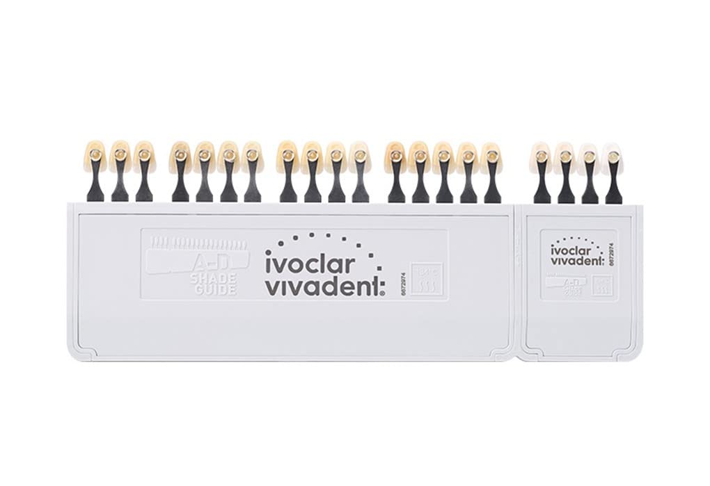 Porcelana AD Guida Colori Denti Dentali 20 Colori