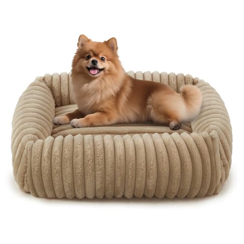 Image of FURTIME Dog Bed for Small Medium Dog, Washable Orthopedic Pet Bed with Removable Cover, Rectangle Soft Calming Sleeping Puppy Bed Durable Pet Cuddler with Anti-Slip Bottom, Beige, M (25 inchx21 inchx7 inch)