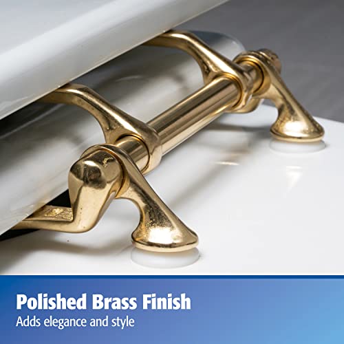 Plumb Pak Pp837-36L Toilet Seat Hinge Replacement Parts, Polished Brass #TOP1