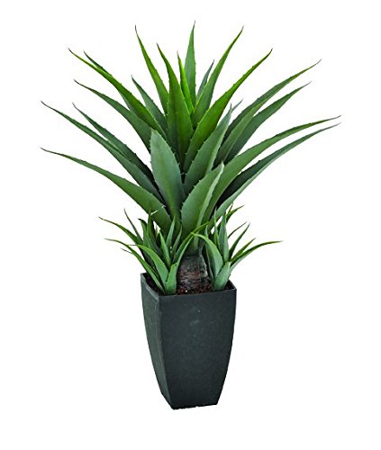 Catral 53010135 Agave, 15.0x15.0x75.0 cm