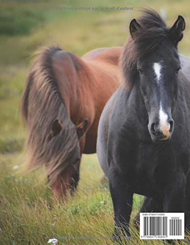 Horse lover: Soft Cover Notebook with Lined Paper Spiral Notebooks with 100 Ruled Pages 50 Sheets Memo Notepads for Home School Travel 8.25 x 5.55 inch - Image 2
