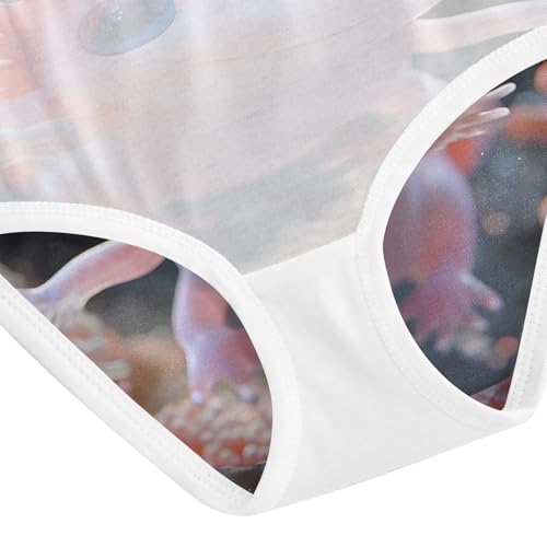 Cute Axolotl Undersea Toddler Girls's Underwear 2T 202b8834 5