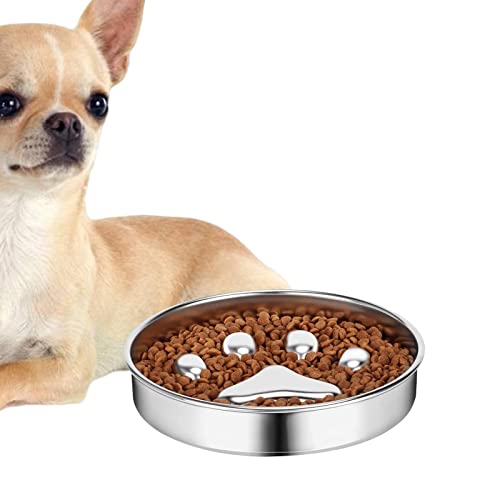 Mangeoire Lente pour Chien | Mangeoire Lente pour Chat en Acier Inoxydable - Accessoires pour Animaux domestiques Plat pour Chiots pour Animaux de Compagnie intérieurs et extérieurs Nourriture Maodom Cover
