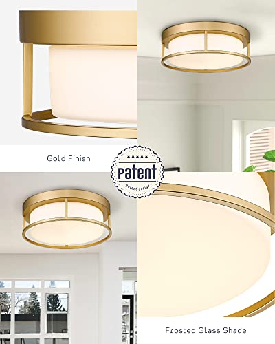 Caldion Led Ceiling Light Fixture, 12 Inch 24W 950Lumens Flush Mount Light Fixture, Dimmable 3000K, Gold Finish With Opal Frosted Glass, Round Close To Ceiling Lights For Bedroom, Kitchen 6871Lfm-Gd #TOP1