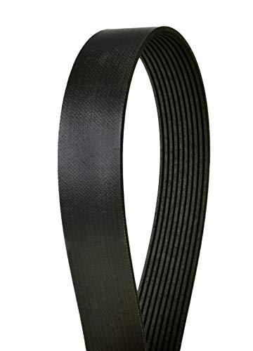 Correa Serpentina Continental Elite 4100875 Poly-V elimina ruidos de motor 2