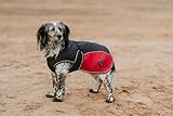 HUNTER Hundemantel Uppsala Allrounder, Farbe: anthrazit/rot, Wasser- und windabweisend, herausknöpfbares Innenfutter, reflektierende Paspeln, elastische Fixiergummis, optimaler Sitz, Größe: 55