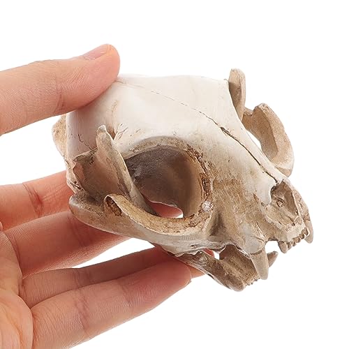 Image of Amosfun Halloween Animal Scary Skeleton Props Resin Cat Skull Model Figurine Aquarium Fish Tank Landscape Decorations