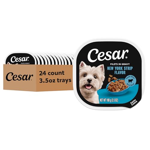 Image of Cesar Filets in Gravy Wet Dog Food, New York Strip Flavor, 3.5 oz, 24 Count | Real beef, slow-cooked, 100% complete & balanced, easy-to-digest, no fillers or artificial flavors, easy peel trays