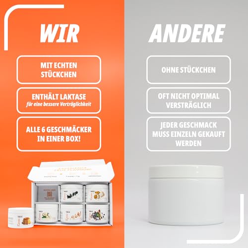 BODY IP Flaves Probierbox – Geschmackspulver Mix zum Testen | Zuckerarm & kalorienreduziert | Für Magerquark, Joghurt, Desserts & mehr | Mit Lactase & echten Stückchen | Intensiver Geschmack & Vielfal
