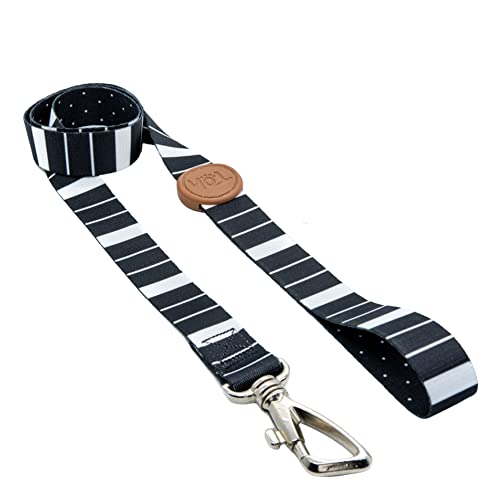 Conjunto Peitoral Tradicional e Guia, Eclipse, P, Toh