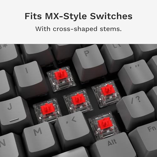 Image of GLORIOUS Gaming - GPBT Basics (PBT Keycaps), Armor Gray, No Fade Dye-Sublimated, for Custom Mechanical Keyboards, Fits 100%, 75% 65% 60%, Fits ANSI & ISO, Supports Windows & macOS - English (US)