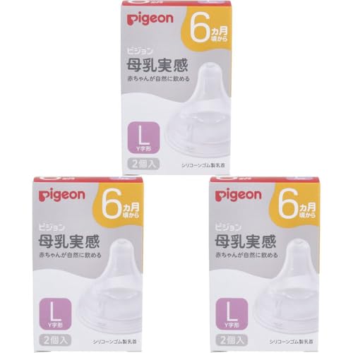 y܂ƂߔzsW  6 LTCY Y` 2?3Zbg b`IC RɈ߂ ςƕp 玙 (vF6)