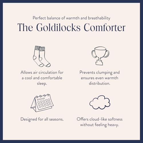 Brooklinen Lightweight Luxury Down Comforter, 100% Natural Canadian Duck Down Duvet Insert - 650 Fill Power, 100% Cotton Shell, Twin/Twin XL Size Comforter for Warm Sleepers