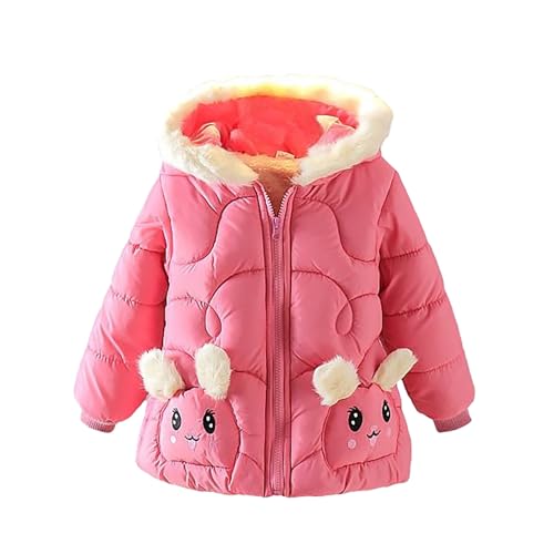 EnJoCho Baby Boys Girls Puffer Outerwear with Pockets Winter Jacket Cute 𝐂artoon Printed Cotton Liner Fleece
