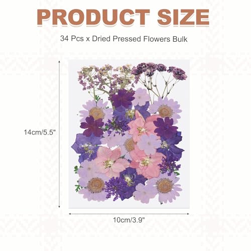 Flores secas prensadas para manualidades 34 piezas miniatura 2