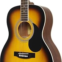Amazon | HONEY BEE ハニービー アコースティックギター フォーク
