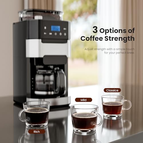 Electactic 10-Cup Grind & Brew