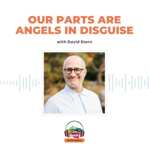 Our Parts Are Angels In Disguise with David Stern