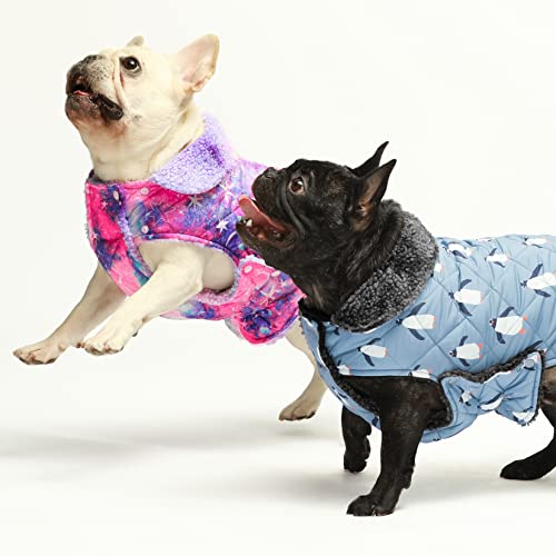 Fitwarm Reversible Tie Dye Dog Coat, Waterproof Thermal Pet Puffer Vest Jacket, Dog Winter Clothes For Small Dogs Girl, Cat Apparel, Blue, Medium #TOP1