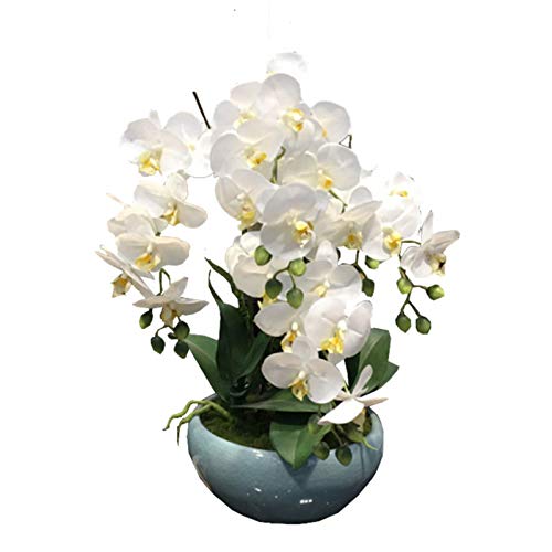 HPTHLY Simulation Flower Artificial Phalaenopsis Orchid White Silk Flower Orchids Arrangements with Vase Faux Plants Flowers Exquisite Decor Home Kitchen Bedroom