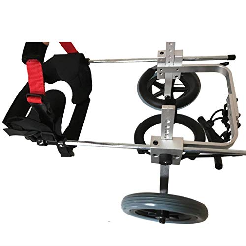 CWCQGH Silla de Ruedas Ajustable para Perros