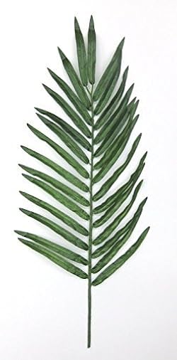 椰子の木 ヤシの木 ココスヤシ ワシントンヤシ カナリーヤシ｜COCOS GARDEN