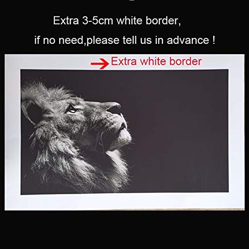 صورة مرسومة على قماش مرسوم عليها طائر الفلامنجو الوردي طباعة مع زهور زيتية ديكور غرفة المعيشة A4 50x80 سم بدون إطار 50x80cm No Frame Amazon Ae المنزل