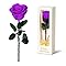 Amazon.com: Childom Mothers Day Rose Gifts for Mom,Birthday Gifts for ...