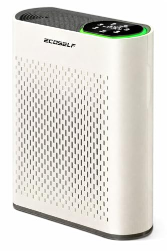HAP602 Large Room Air Purifier, 2,400 ft², True HEPA, 360° Airflow, PM2.5 Monitor Sleep Mode,