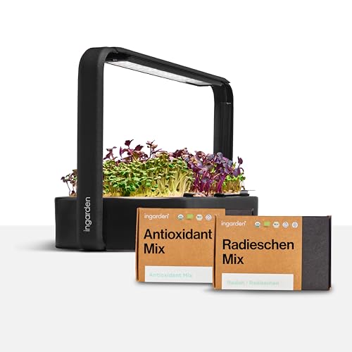 Ingarden Smart Garden Starter-Set - Indoor Garden mit LED für Microgreens - inkl. 12 Bio-Saatpads - Schale aus Keramik vulkanschwarz - skandinavisches Design - erntereif in nur 7 Tagen, ohne Erde. Ingarden Smart Garden Starter-Set - Indoor Garden mit LED für Microgreens - inkl. 12 Bio-Saatpads - Schale aus Keramik vulkanschwarz - skandinavisches Design - erntereif in nur 7 Tagen, ohne Erde.