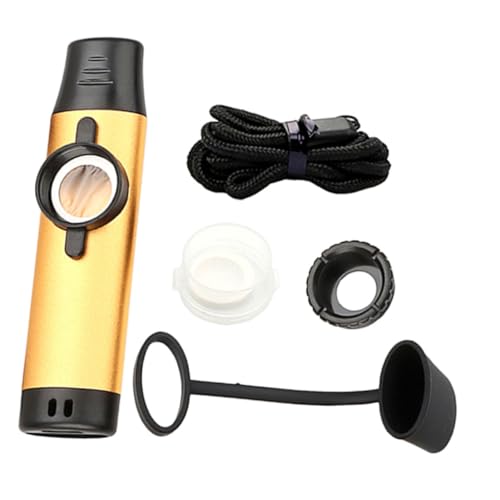 Kazoo instrument musique Toddmomy accompagnement guitare scène