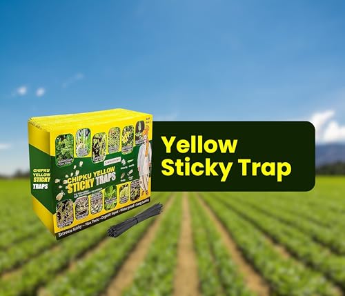 Image of Chipku A5 Yellow Sticky Trap for Insects Pack of 50 Sheets| for Garden & Agriculture to Control Whiteflies, Aphids, Thrips, Jassids| Fly Catcher Insect Catcher Glue Trap for 100% Results