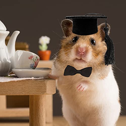 HACRAHO - Cappellini per laurea e cravatta per