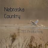 Tes Productions